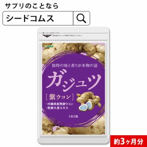 クーポン配布中 ガジュツ 約3ヵ月分 サプリメント 美容 健康 ダイエット トイレ 酒 健康食品