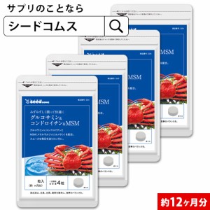 クーポン配布中　グルコサミン+コンドロイチン+MSM 約12ヵ月分 サプリ 健康食品