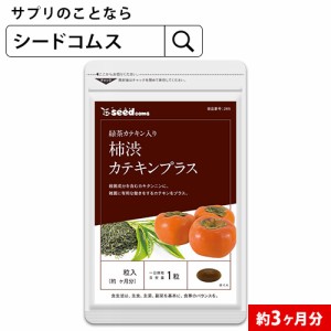 カテキン入り柿渋カプセル 約3ヵ月分 エチケット サプリメント 健康食品