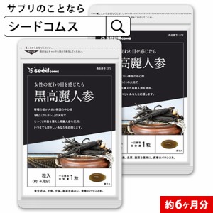 黒高麗人参 約6ヵ月分 サプリメント 健康食品