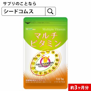 マルチビタミン 約3ヵ月分 サプリメント 美容  vitamin 健康食品