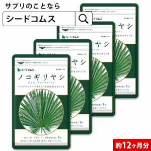 クーポン配布中　ノコギリヤシ 約12ヵ月分 男性 サプリメント 健康食品