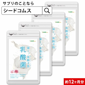 クーポン配布中　乳酸菌 サプリ 有胞子性乳酸菌ソフトカプセル 約12ヵ月分 ラクリス菌 ダイエット 健康食品