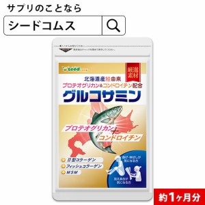 プロテオグリカン 2型コラーゲン配合グルコサミン 鮭 コンドロイチン MSM 約1ヵ月分 プロテオグリカン 健康維持 お試し