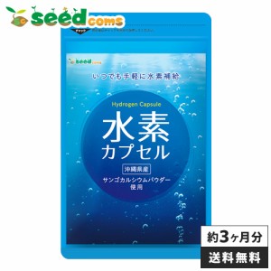 クーポン配布中 水素カプセル 約3ヵ月分 美容 サプリメント スキンケア 健康食品