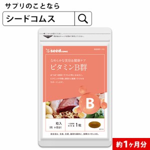 クーポン配布中　ビタミンB群　約1ヵ月分 サプリメント 健康食品