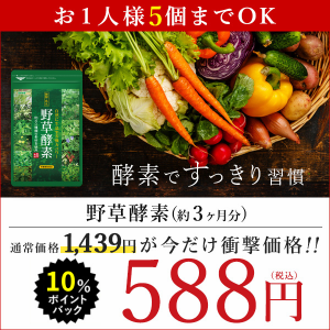 【P10％還元セール】野草酵素 約3ヵ月分 やさい 野菜 酵素 サプリメント diet 健康食品