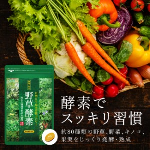 クーポン配布中 野草酵素 約3ヵ月分 やさい 野菜 酵素 サプリメント diet 健康食品