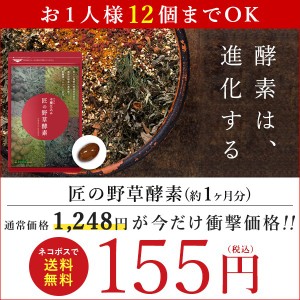 【当店最安155円SALE】匠の野草酵素 約1ヵ月分 酵素 練酵素 ビタミン ダイエットサプリ 乳酸菌 健康食品