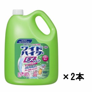 【2個セット】花王 ワイドハイターEXパワー 業務用 4.5L  ×2