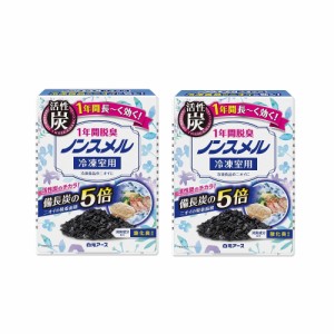 ノンスメル 冷凍室用 脱臭剤 置き型 1年間脱臭×2【2個セット】【ネコポス】送料無料  置き型 1年間 脱臭 冷蔵庫 冷凍庫 臭い ニオイ