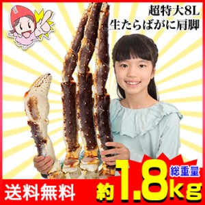 かに 蟹 たらばがに 生たらばがに ◆超特大8L生たらばがに肩脚1肩(総重量約1.8kg)【送料無料】 ／ 肩 脚 爪 殻付き かに鍋 蟹鍋 かにしゃ