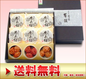 梅干しギフト うす塩紀州梅「華撰（かせん)」9個入り(内祝い ギフト 贈り物 お返し)