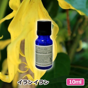 アロマオイル(エッセンシャルオイル)イランイラン 10ml