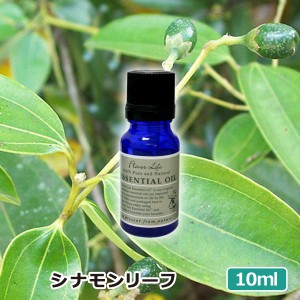 アロマオイル(フレーバーライフ エッセンシャルオイル)シナモンリーフ 10ml