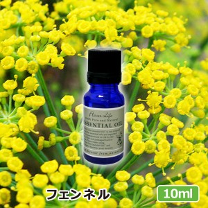 アロマオイル(フレーバーライフ エッセンシャルオイル)フェンネル 10ml