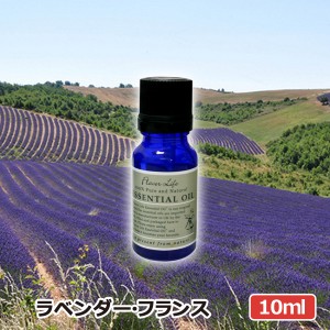 アロマオイル(フレーバーライフ エッセンシャルオイル)ラベンダーフランス 10ml