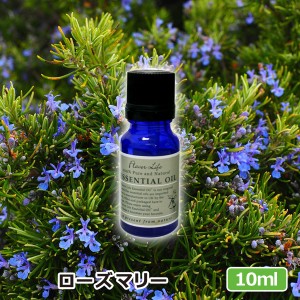 アロマオイル(エッセンシャルオイル)ローズマリー 10ml