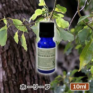 アロマオイル(エッセンシャルオイル)ホーリーフ 10ml