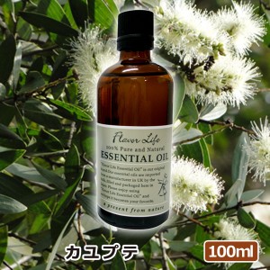 アロマオイル(エッセンシャルオイル)カユプテ 100ml