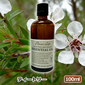 アロマオイル(エッセンシャルオイル)ティートリー 100ml