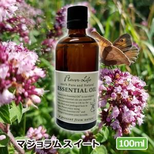 アロマオイル(エッセンシャルオイル)マジョラムスイート 100ml