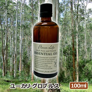 アロマオイル(エッセンシャルオイル)ユーカリグロブルス 100ml