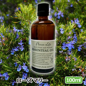 アロマオイル(エッセンシャルオイル)ローズマリー 100ml