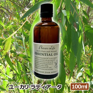 アロマオイル(エッセンシャルオイル)ユーカリラディアータ 100ml