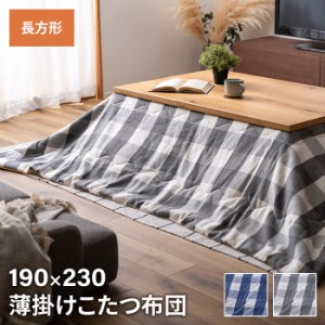 【値下げ】 コタツ布団 薄掛け 長方形 190×230cm コタツ布団 ギンガムチェック柄 こたつ掛け布団 薄手 あったか 冬 節電 おしゃれ 新生