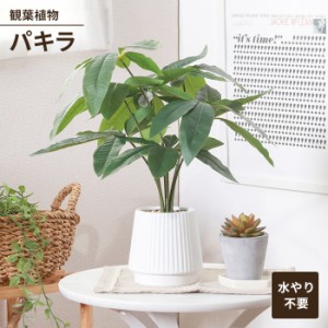 フェイクグリーン 観葉植物 人工観葉植物 パキラ セラミックポット 卓上 インテリアガーデン お手入れ不要 おしゃれ 人工植物