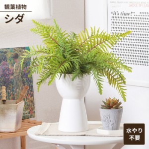 フェイクグリーン 観葉植物 人工観葉植物 シダ セラミックポット 卓上 インテリアガーデン お手入れ不要 おしゃれ 人工植物