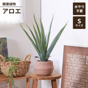 人工観葉植物 フェイクグリーン 観葉植物 アロエ S セメントポット 卓上 インテリアガーデン 手入れ不要 おしゃれ 人工植物