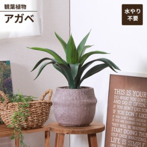 人工観葉植物 フェイクグリーン 観葉植物 アガベ セメントポット 卓上 インテリアガーデン 手入れ不要 おしゃれ 人工植物