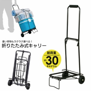 【値下げ】 折りたたみ キャリーカート スチール製 コンパクト 幅35 高さ88 ゴムロープ付き 耐荷重30kg 小型 台車 荷物 持ち運び 収納 車