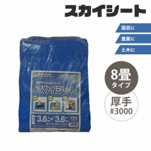レジャーシート 8畳 敷物 スカイシート カバー 保護 雨除け 厚手 レジャー アウトドア 園芸 農業 土木 作業 花見 すいか割り
