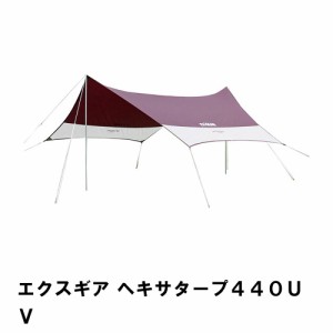 タープ テント 大型 幅440 奥行440 高さ220 アウトドア  5〜6人用 防水 キャンプ用品 キャンプグッズ 収納 持ち運び バッグ付き