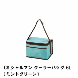 クーラーバッグ 保冷バッグ ソフトクーラー 6L 幅28 奥行18 高さ18 冷蔵バッグ メッシュポケット 付き 折りたたみ 保冷 保温