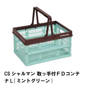 折りたたみ かご Lサイズ 取っ手付き 収納 箱 コンテナ 幅45 奥行31 高さ25 ミントグリーン カゴ 買い物かご 簡単組立