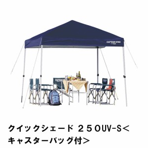 テント タープ 日よけ サンシェード BBQ 幅250 奥行250 高さ257-239 アウトドア  防水 UVカット 紫外線 丈夫 キャスターバッグ付