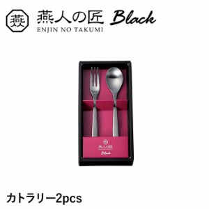 カラトリー 2本 セット コーヒースプーン ヒメフォーク ステンレス おしゃれ 個性的 漆黒 ギフト プレゼント 日本製 燕製品
