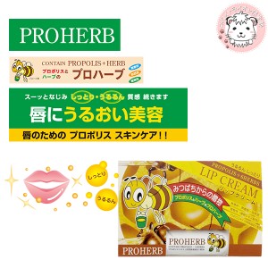 PROHERB プロハーブ リップクリーム