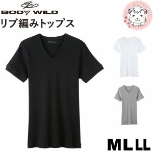 グンゼ ボディワイルド リブ VネックTシャツ BWJ415J M L LL Tシャツ メンズ GUNZE BODYWILD bodywild 紳士 男性 肌着 下着 アンダーシャ