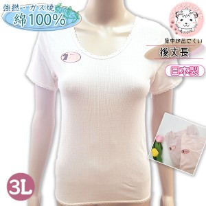 半袖 インナーシャツ レディース 強撚 ガス焼 吸汗速乾 綿100% 後丈長 3分袖インナー 日本製 ゆったり 3L