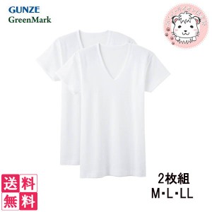 グンゼ グリーンマーク メンズ 半袖V首シャツ 2枚組×5セット GK12127 M/L/LL