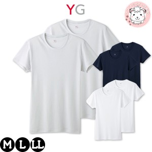 クルーネック Tシャツ 2枚組 GUNZE グンゼ YG ワイジー DRY＆DEO オールシーズン 吸汗速乾 抗菌防臭 フライス ポリエステル YV0113B M/L/