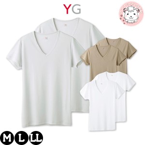 Vネック Tシャツ 2枚組 GUNZE グンゼ YG ワイジー DRY＆DEO オールシーズン 吸汗速乾 抗菌防臭 フライス ポリエステル YV0115B M/L/LL