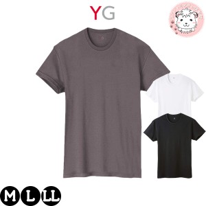 クルーネック Tシャツ GUNZE グンゼ YG ワイジー ダブルホット 抗菌防臭 保温 綿 YV0713V M/L/LL