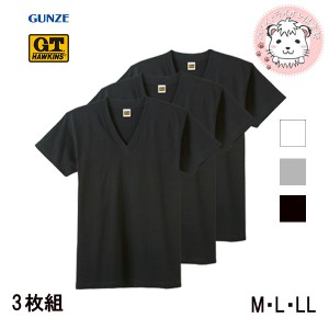 tシャツ メンズ 半袖 グンゼ  ホーキンス Vネック Tシャツ 3枚組 HK15153 M/L/LL