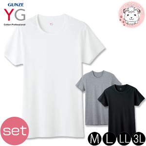 グンゼ YG ワイジー メンズ コットン100% 半袖 クルーネックTシャツ YV0013V 2枚セット M/L/LL/3L